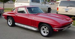 vette.jpg