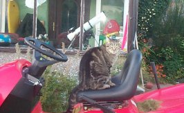 teddy, if you turn the other way u might be able to drive.jpg