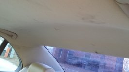 20170211_151008.jpg