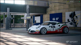 Gran Turismo®Sport Closed Beta Test Version_20170321233958.png