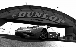 Circuit de la Sarthe 2009_6.jpg