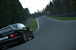 Nürburgring Nordschleife_56.jpg