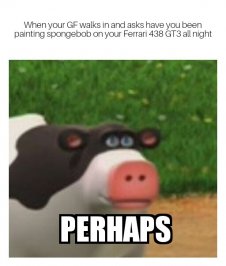 Perhaps Cow 01082017075717.jpg