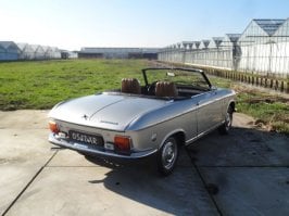 Peugeot 304 S Cabriolet_Rear2.jpg