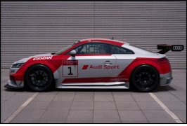 GTsport TTcup.jpg