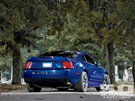 m5lp_1008_02_o+2003_ford_mustang_cobra+back_view.jpg