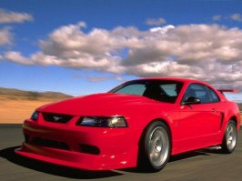 2001_ford_mustang_svt_cobra-pic-7173611175847799808-640x480.jpeg