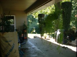 porch2.jpg