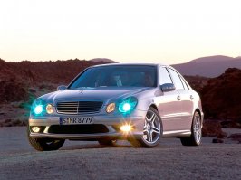 e 55 amg.gif