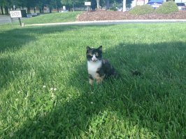 IMG_2666[1].JPG