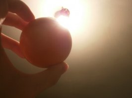 Ball_II.JPG