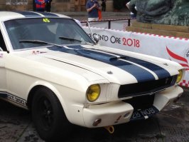IMG_1564[1].JPG