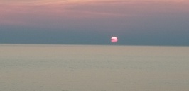 20180811_205241.jpg