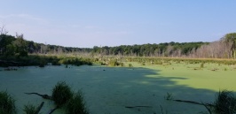 20180811_085123.jpg