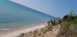 20180811_150901.jpg