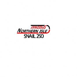 nis250jp.jpg