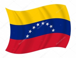 depositphotos_66601527-stock-illustration-venezuela-flag-waving-vector.jpg