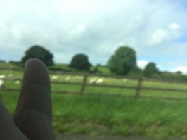 F765996A-2728-4883-A756-2655DE331971.jpeg