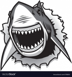 great-white-shark-ripping-with-opened-mouth-vector-1756914.jpg