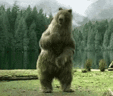 3446688E-CE1A-4A31-AB9D-1548B558E227.gif