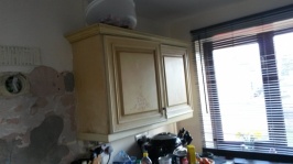 20190224_162505.jpg