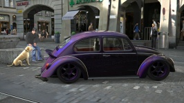 2.3-Man With GT4 Dog And VW 1600 '66 Slammed Super Beetle M.P. III At Bern Market Street.jpg