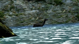 8-Loch Ness Monster At Trial Mountain.jpg