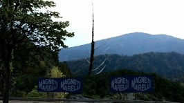 11-Tall Dead Tree At Trial Mountain.jpg