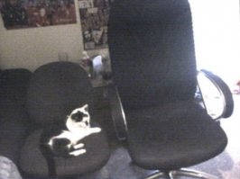 picture 1.jpg