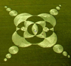 cropcircle.jpg