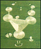 circle05.jpg