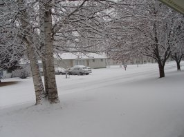 first-snow.jpg