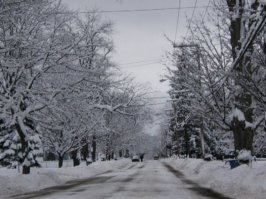 perspective_alley2.jpg