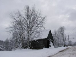 treeandbarn_re.jpg