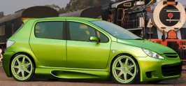 307fin2.jpg