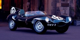 Jaguar D-Type 1954.jpg