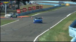 BreakablePaltryAdmiralbutterfly-size_restricted.gif
