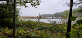 20191003_093344.jpg