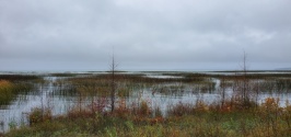 20191003_171537.jpg 20191003_171537.jpg