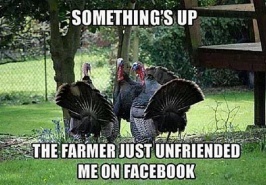 Thanksgiving-famous-turkey-meme.jpg