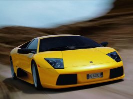 murcielago_02.jpg