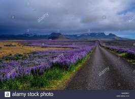 a-road-in-the-middle-cloudy-sky-.jpg