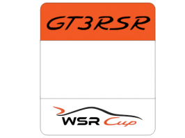 number_plate_wsr.png