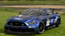 Ford_Mustang_Gr.3.jpg