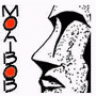 moaibob