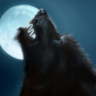 IREWolfman