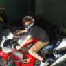 Hamsterman24