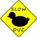 SlowDuc