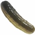 Zesty Dill