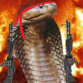 Cobra_H1